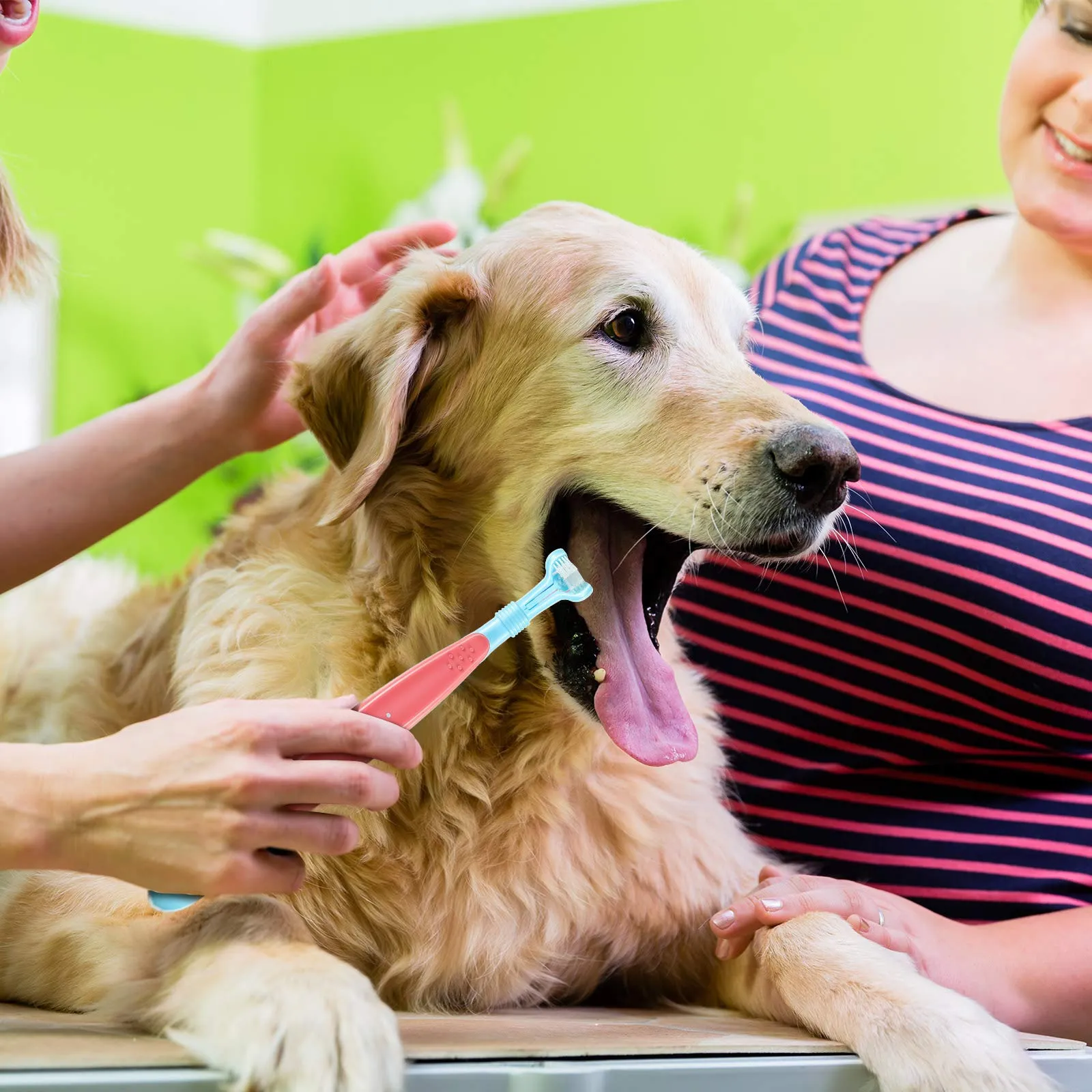 10 Pieces Pet Toothbrush Set, Include 5 Pieces 3-Sided Dog Toothbrush and 5 Pieces Silicone Dog Finger Toothbrush for Small to Large Dogs Cats Maintaining Dental Cleanliness