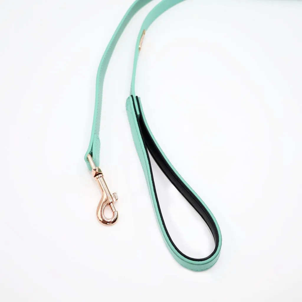 5 ft Genuine Leather Leash - 3 Colors