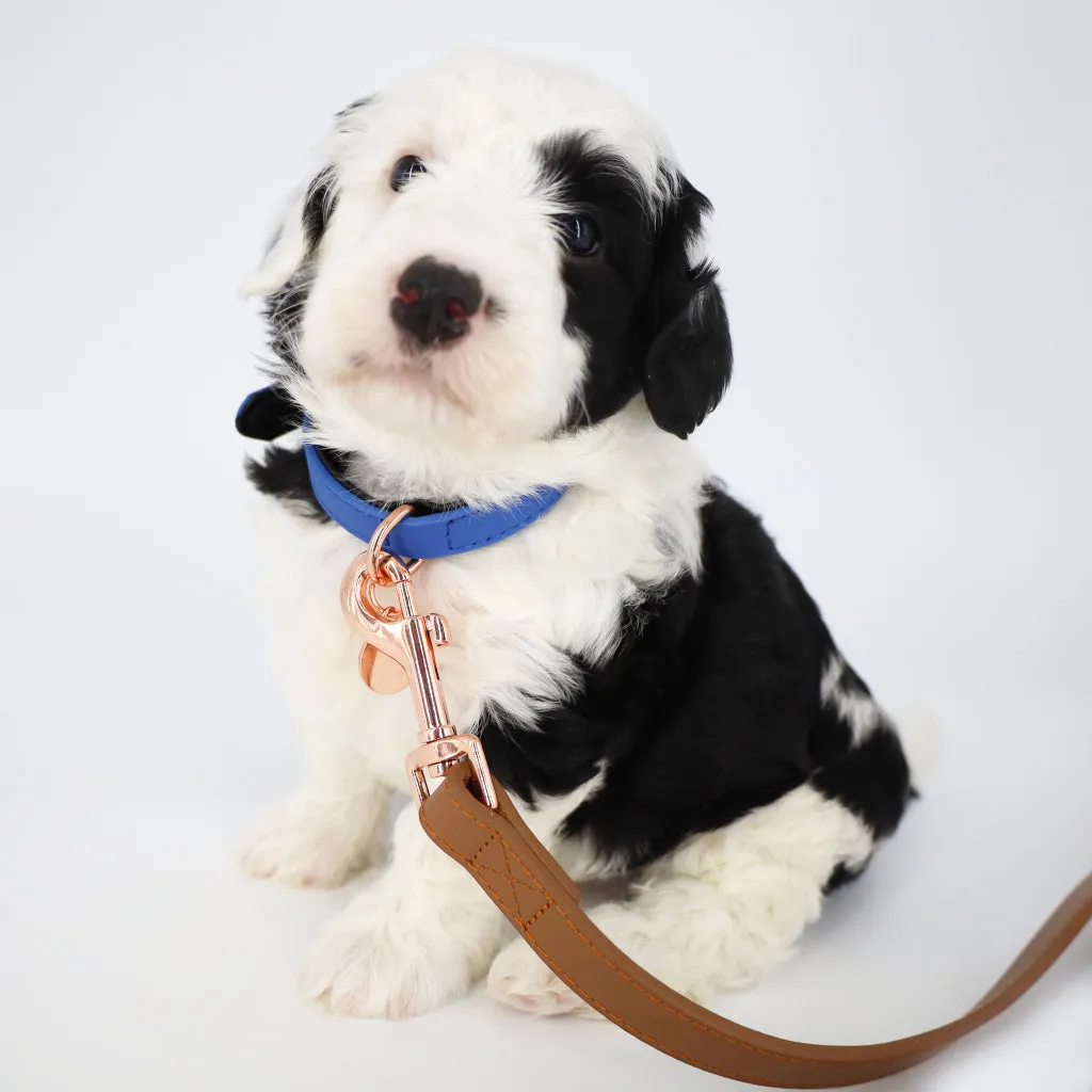 5 ft Genuine Leather Leash - 3 Colors
