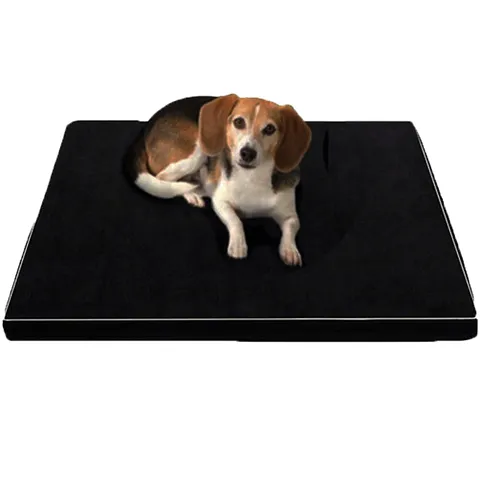 Arthur - Orthopedic Memory Foam Beds for Larger and Elderly Dogs