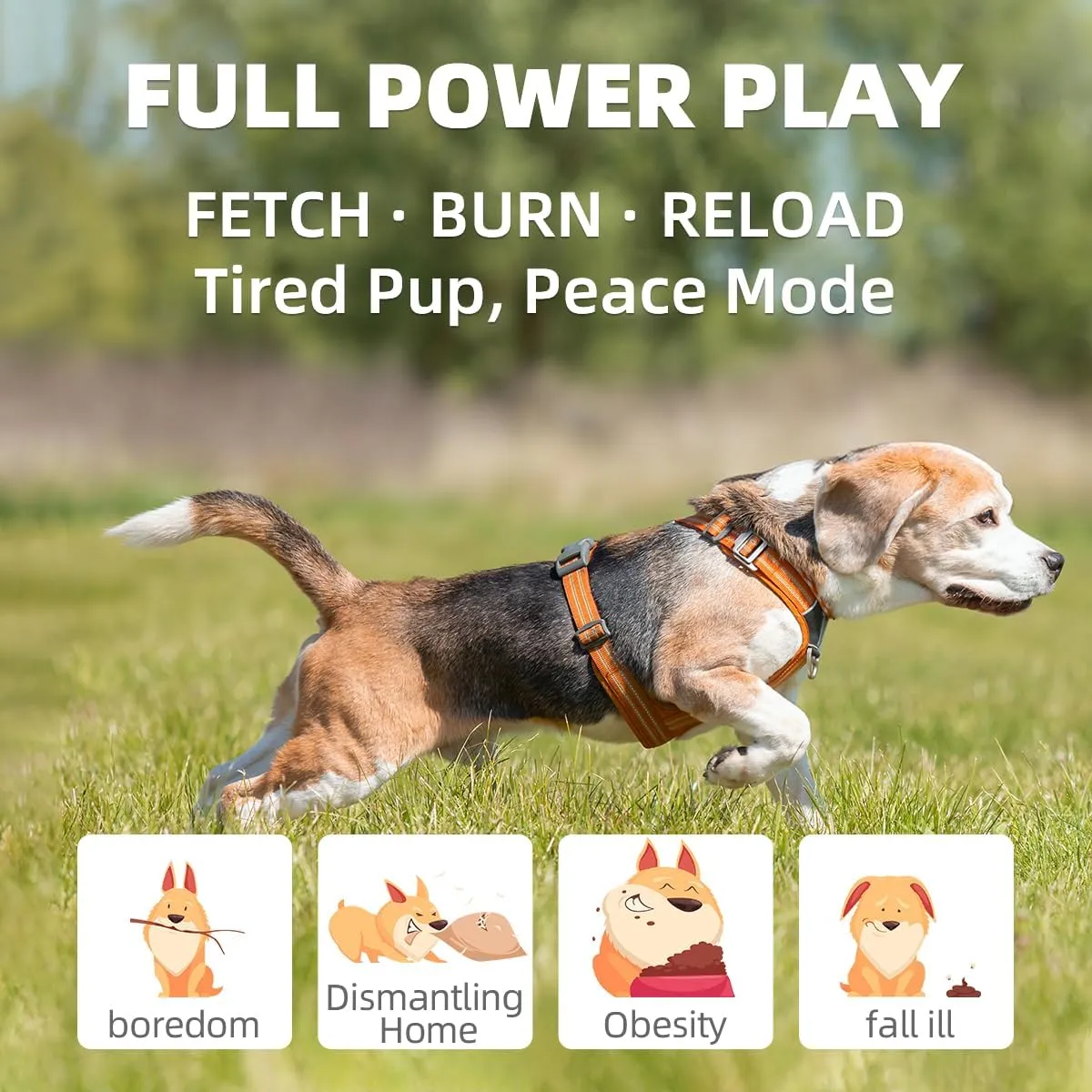 Automatic Dog Ball Launcher- Small Silent Dog Ball Thrower with Remote Control, 3 Adjustable Distances (20ft/33ft/46ft), Rechargable,Includes 3 Durable 2.3" Balls for Small/Medium Dogs
