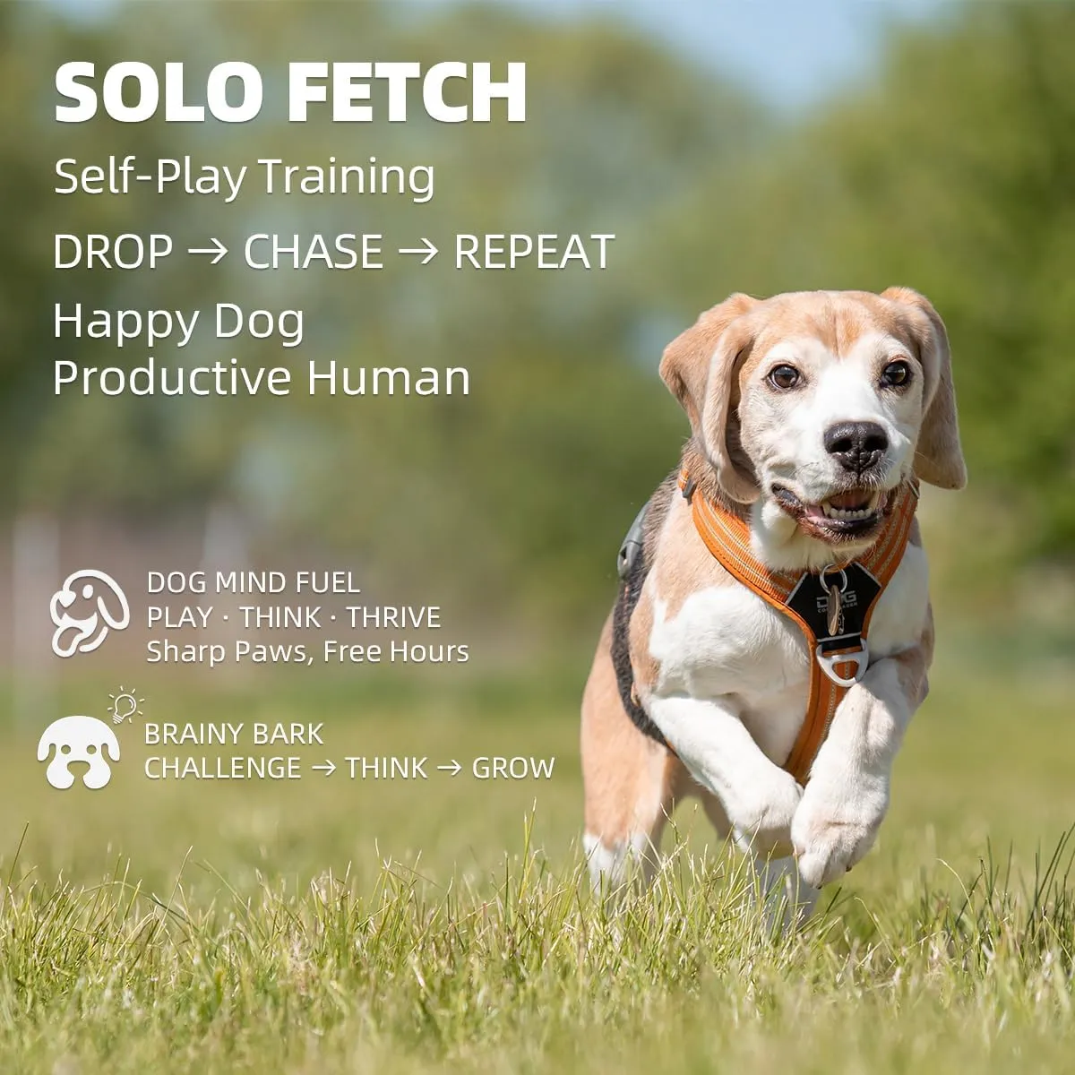 Automatic Dog Ball Launcher- Small Silent Dog Ball Thrower with Remote Control, 3 Adjustable Distances (20ft/33ft/46ft), Rechargable,Includes 3 Durable 2.3" Balls for Small/Medium Dogs