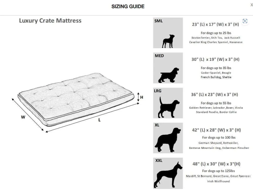 Bowsers Custom Oslo Ortho Dog Bed - Sanibel Stripe