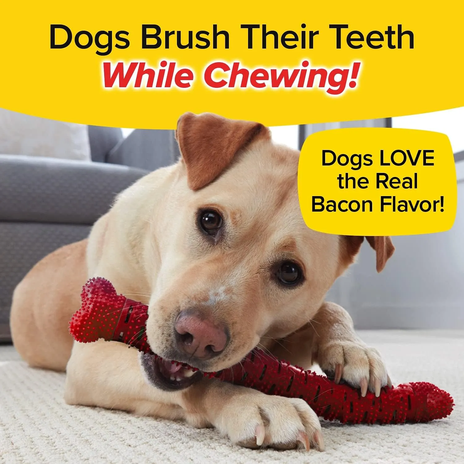 BrushBone - Dog Toothbrush Bone - Bacon Bonanza