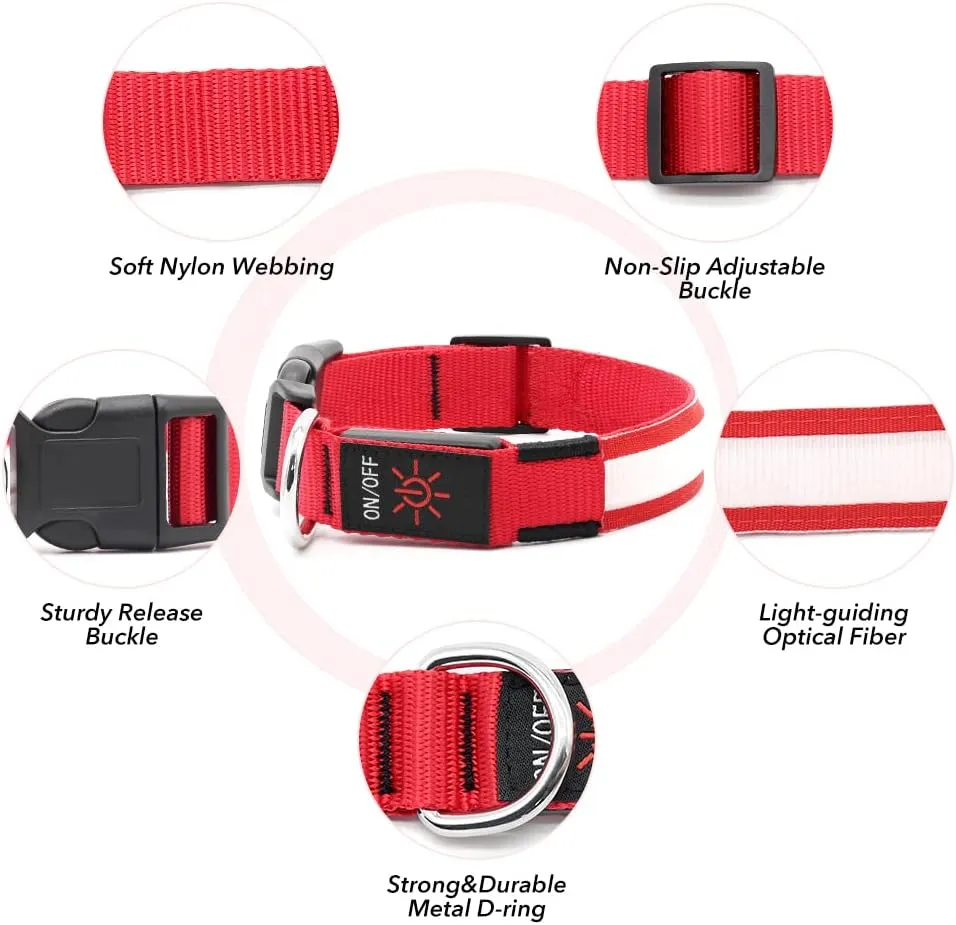 BSEEN Light Up Dog Collar - Rechargeable LED Dog Collar - Water-Resistant Reflective Puppy Collars- Glow in The Dark Christmas Dog Lights for Night Walking (Ruby Red, Medium)