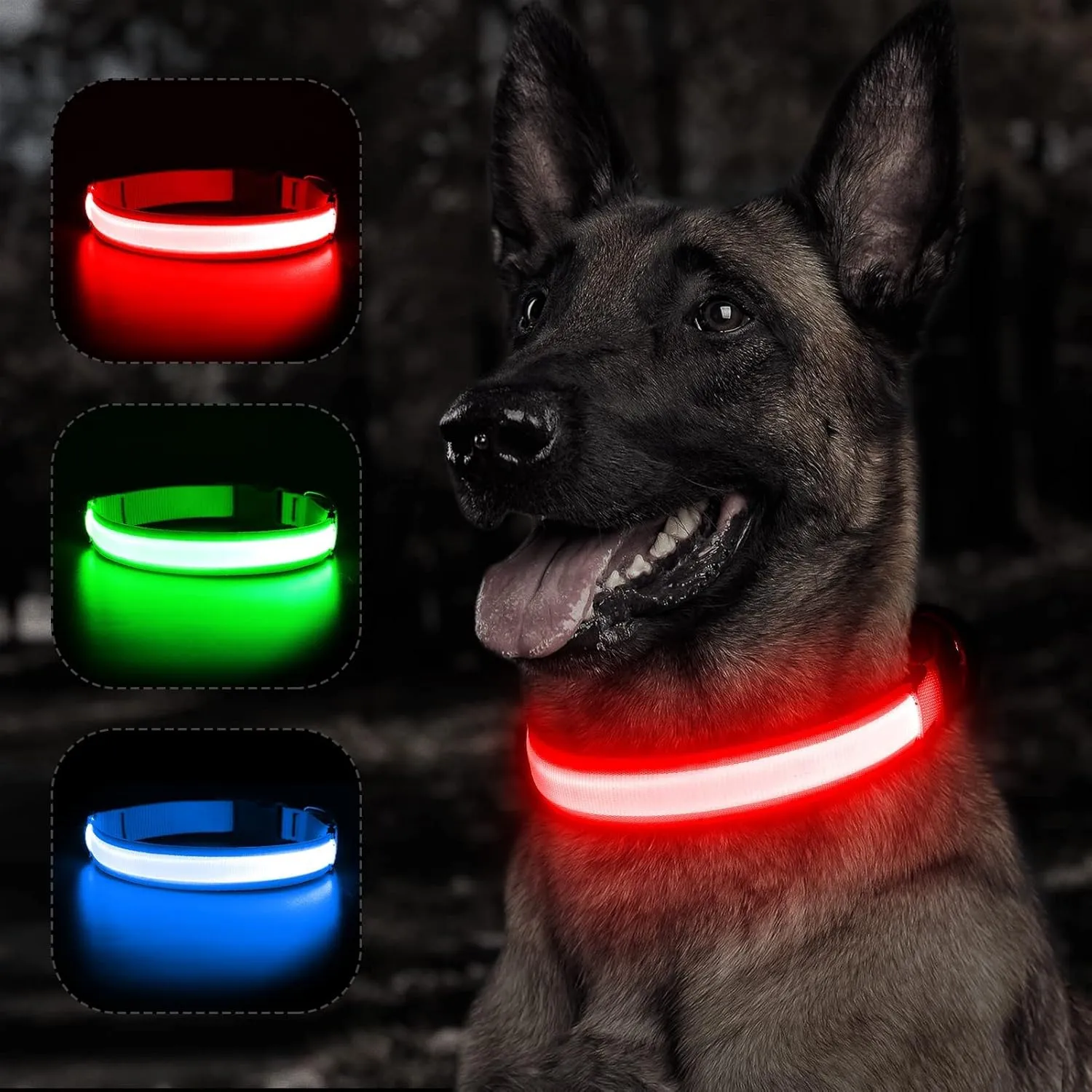 BSEEN Light Up Dog Collar - Rechargeable LED Dog Collar - Water-Resistant Reflective Puppy Collars- Glow in The Dark Christmas Dog Lights for Night Walking (Ruby Red, Medium)