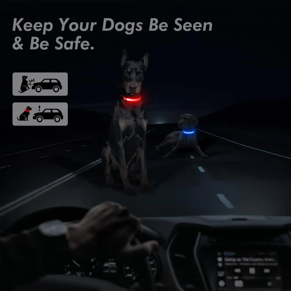 BSEEN Light Up Dog Collar - Rechargeable LED Dog Collar - Water-Resistant Reflective Puppy Collars- Glow in The Dark Christmas Dog Lights for Night Walking (Ruby Red, Medium)