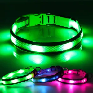 BSEEN Light Up Dog Collar - Reflective LED Dog Collar, Adjustable Puppy Collar, Rechargeable Dog Camping Gear Dog Collar Light for Small Medium Large Dogs (Large, Green )
