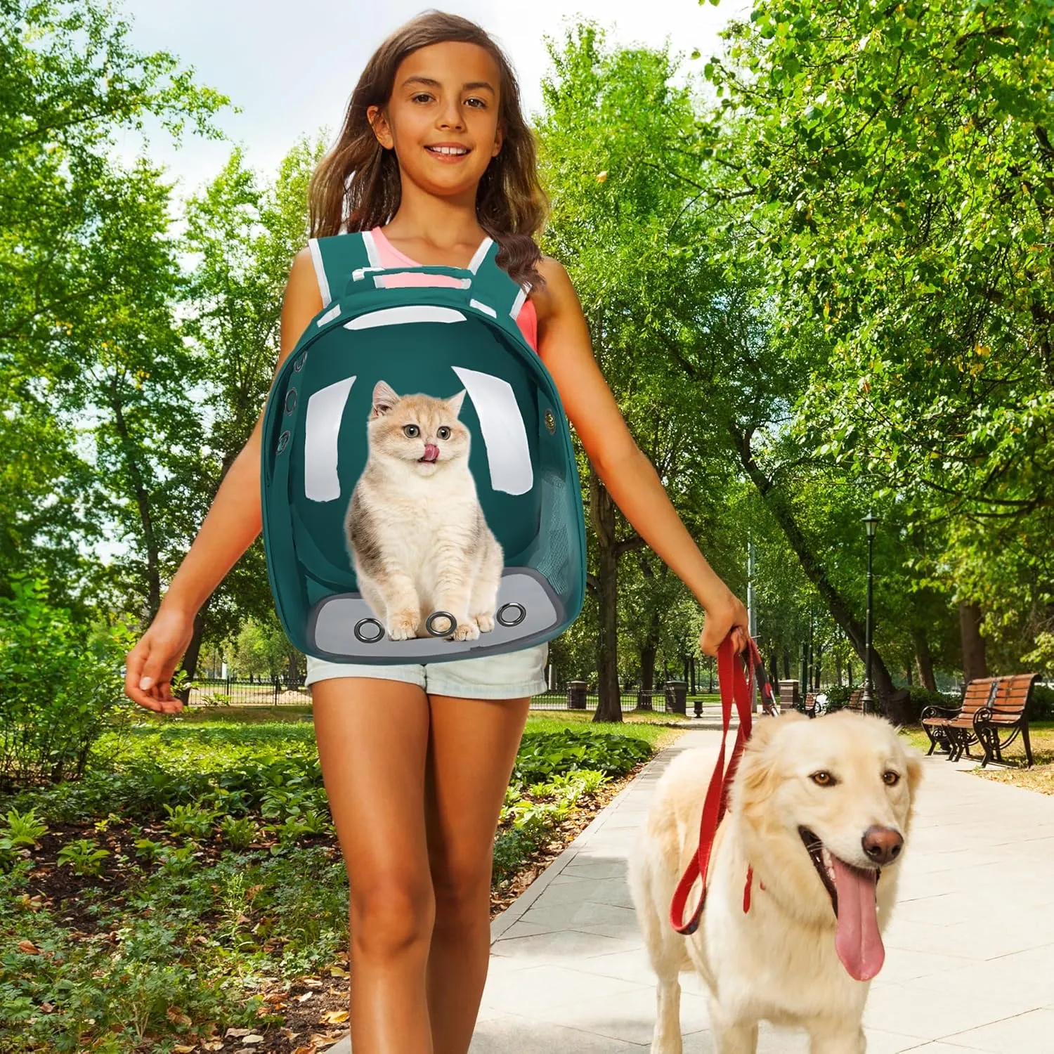 Cat Backpack Carrier Bubble Bag, Transparent Space Capsule Pet Carrier Dog Hiking Backpack, Small Dog Backpack Carrier for Cats Puppies Airline Approved Travel Carrier Outdoor Use Green