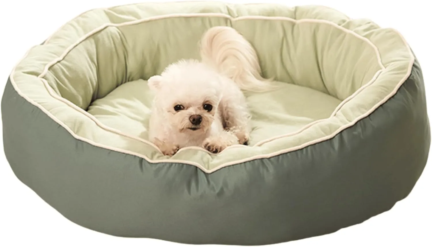 Cat Bed for Indoor Cats, Machine Washable, Cat Beds for Indoor Cats or Small Dogs, Puppy, Kitty, Kitten, Rabbit, Anti-Slip & Water-Resistant Bottom (Green,Large)