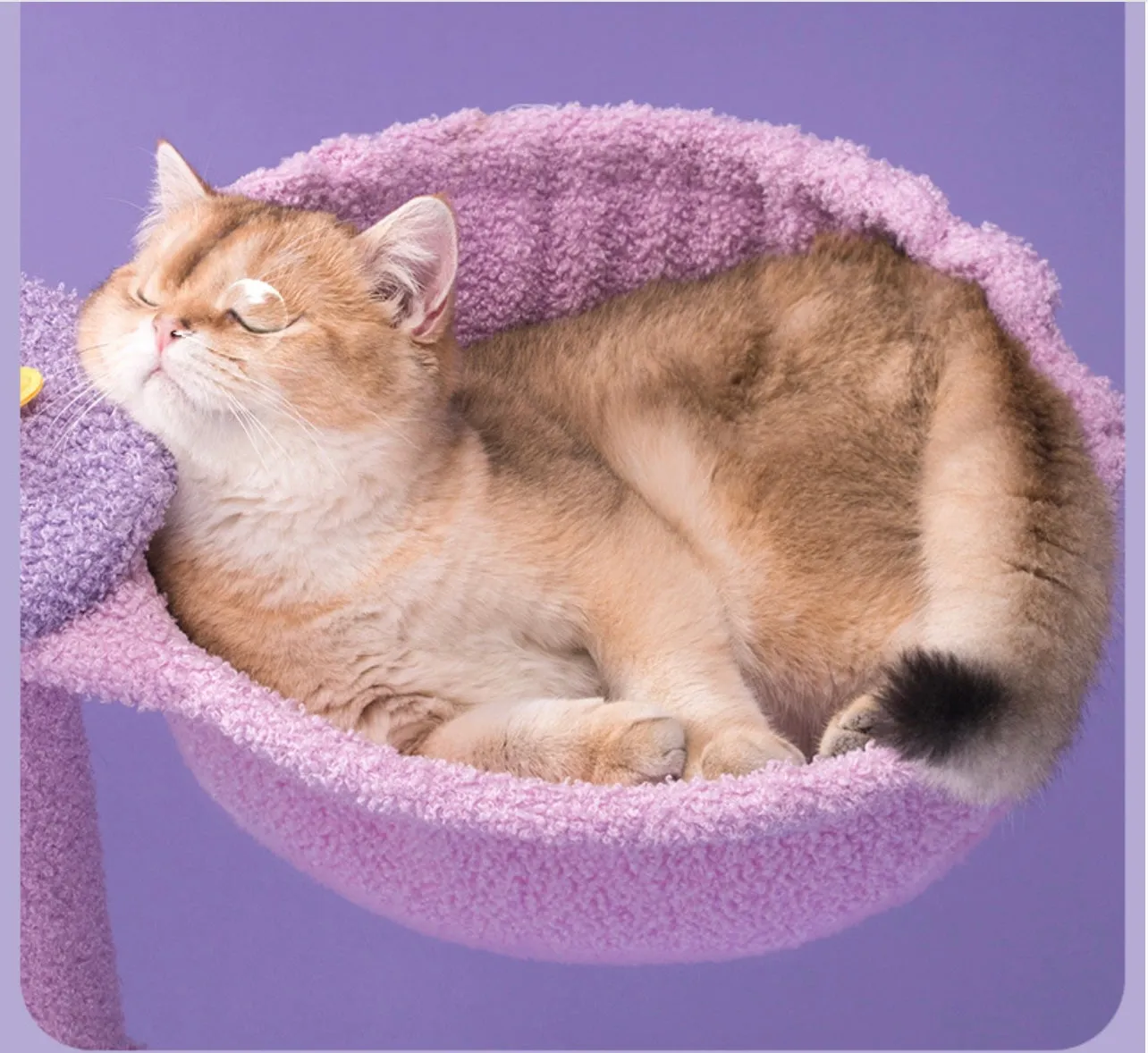 Cat Tree - Sweet Day Dreaming