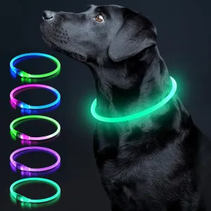Colaseeme LED Dog Collar Light Up Dog Collars 1 Count USB Rechargeable TPU Glow Safety Basic Dog Collars for Large Medium Small Dogs (Cyan)
