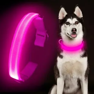 Colaseeme LED Dog Collar Light Up Dog Collars Micro USB Rechargeable Adjustable Nylon Webbing Plastic Buckle D Ring Glow Safety Basic Dog Collars for Dogs (L, Pink)
