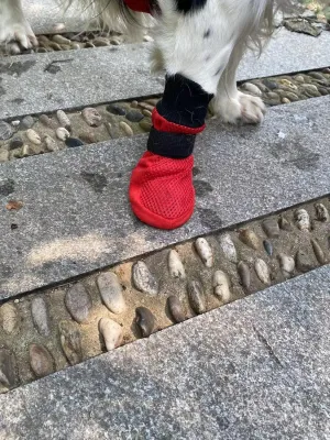 Dog Boots Breathable and Protect Paws Soft Nonslip Soles Red Color Size Large - Inner Sole Width 2.83 Inch