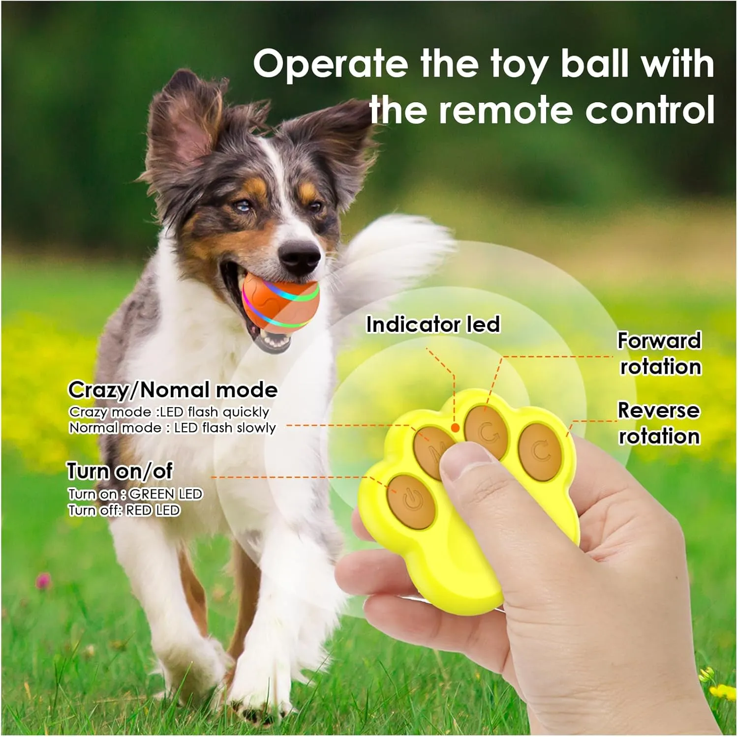 Dog Toy Balls with Remote Control, Interactive Toys for Puppy Small Dogs Cats, Robust self-Rolling Ball, Tough Motion Activated Automatic Moving Dog Ball Toys Indoor Outdoor, Orange