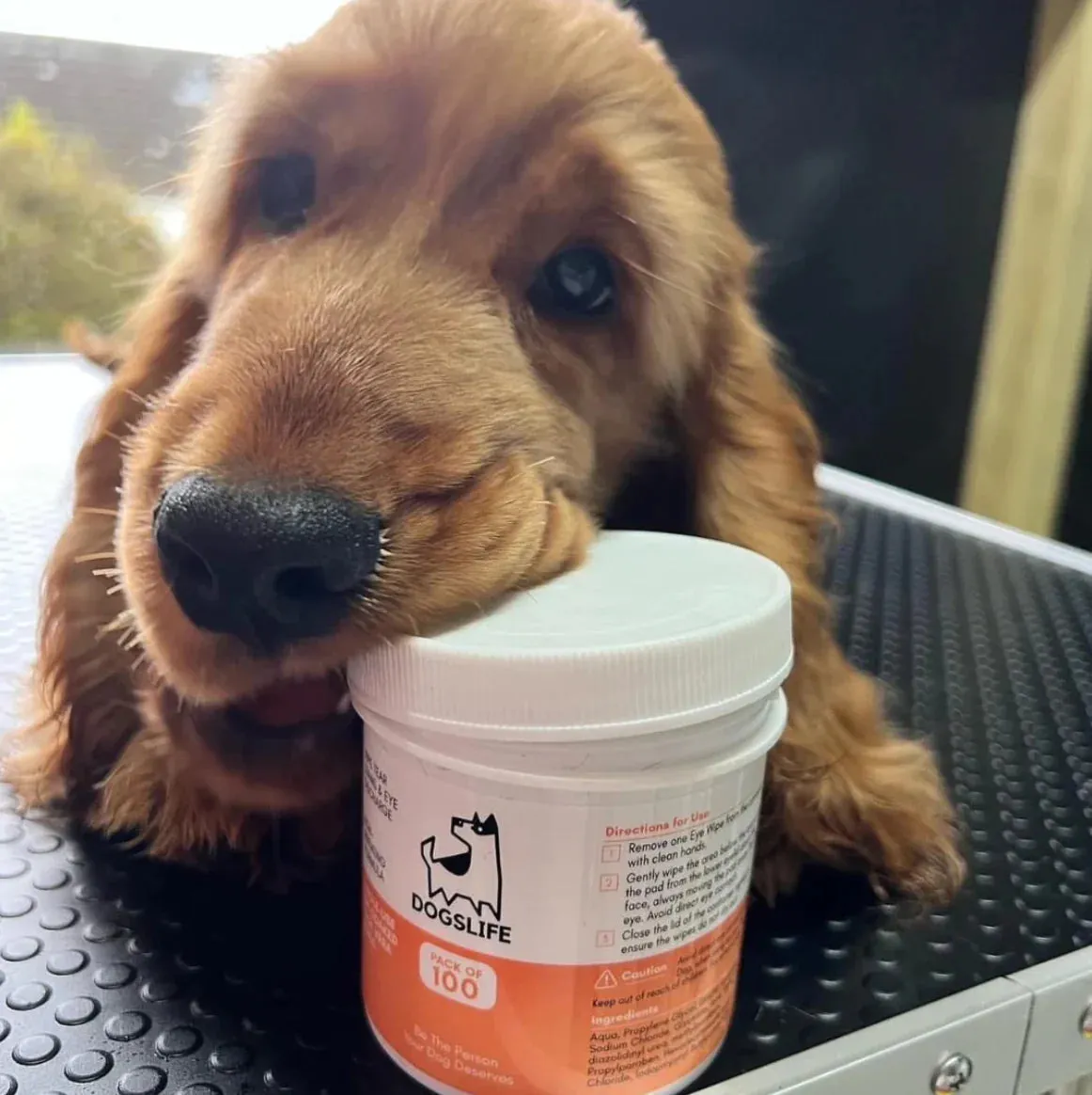 Dogslife Eye Wipes
