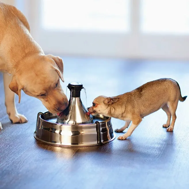 Drinkwell® 360 Stainless Steel Pet Fountain