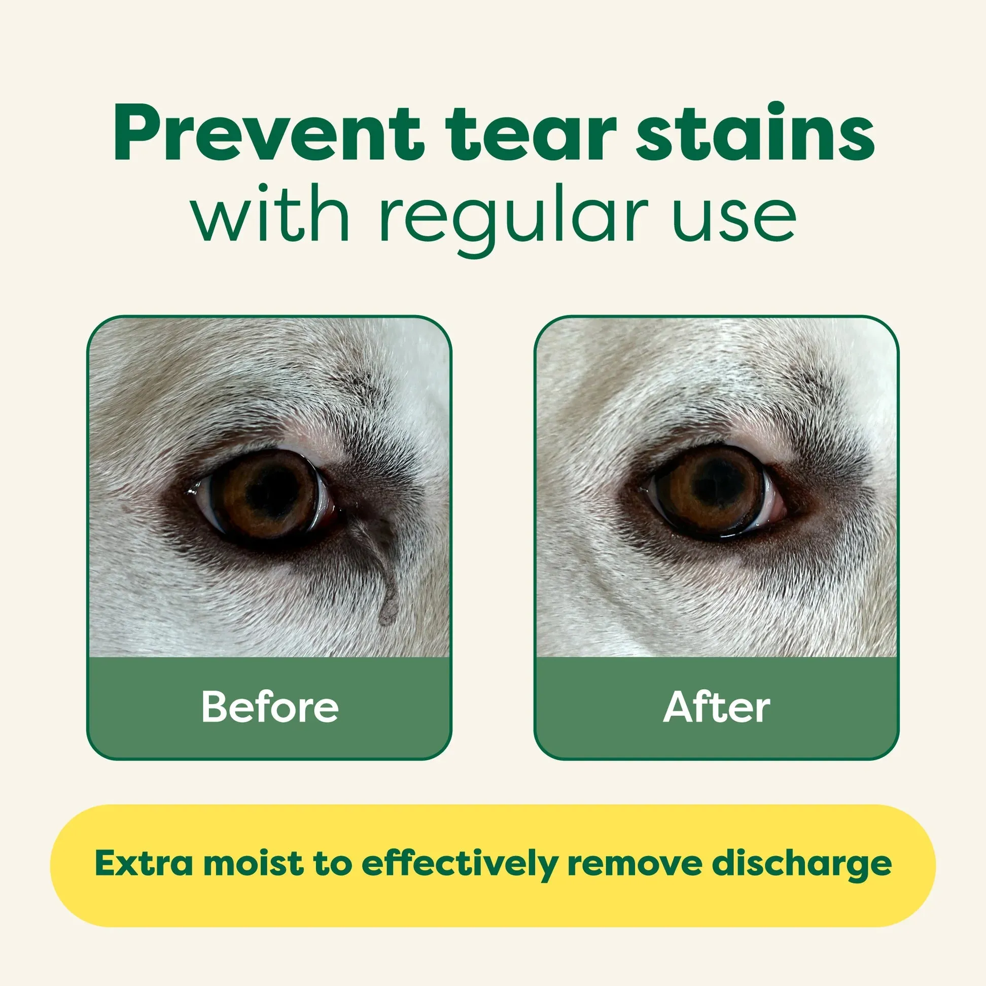 Earth Rated Dog Eye Wipes