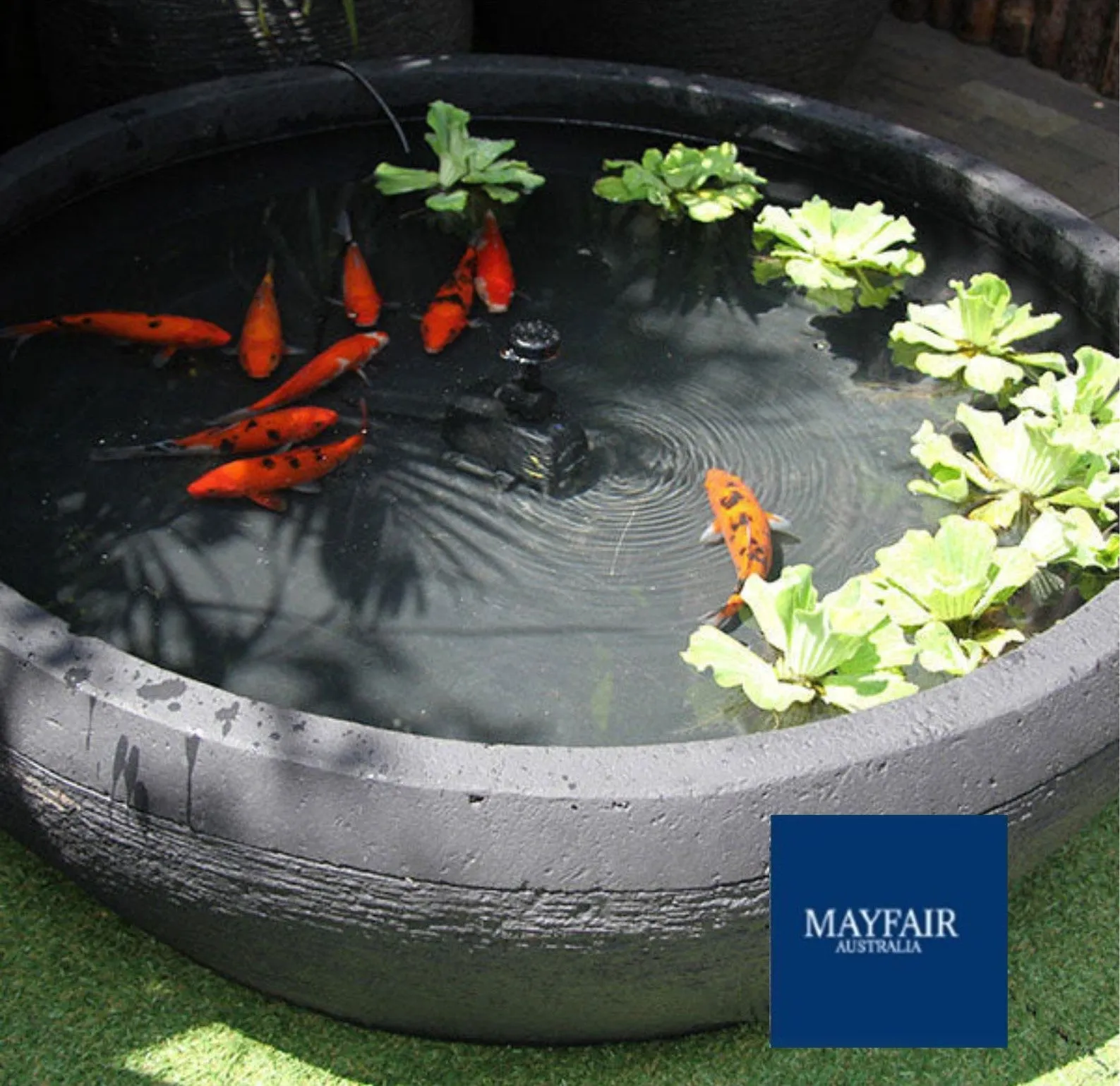 FISH POND FOUNTAIN