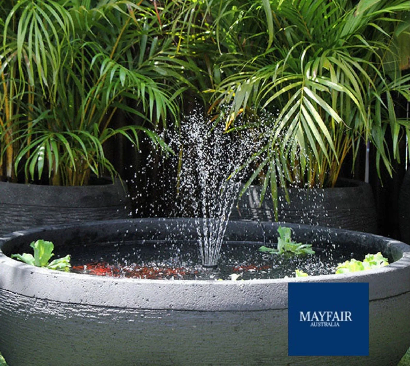FISH POND FOUNTAIN