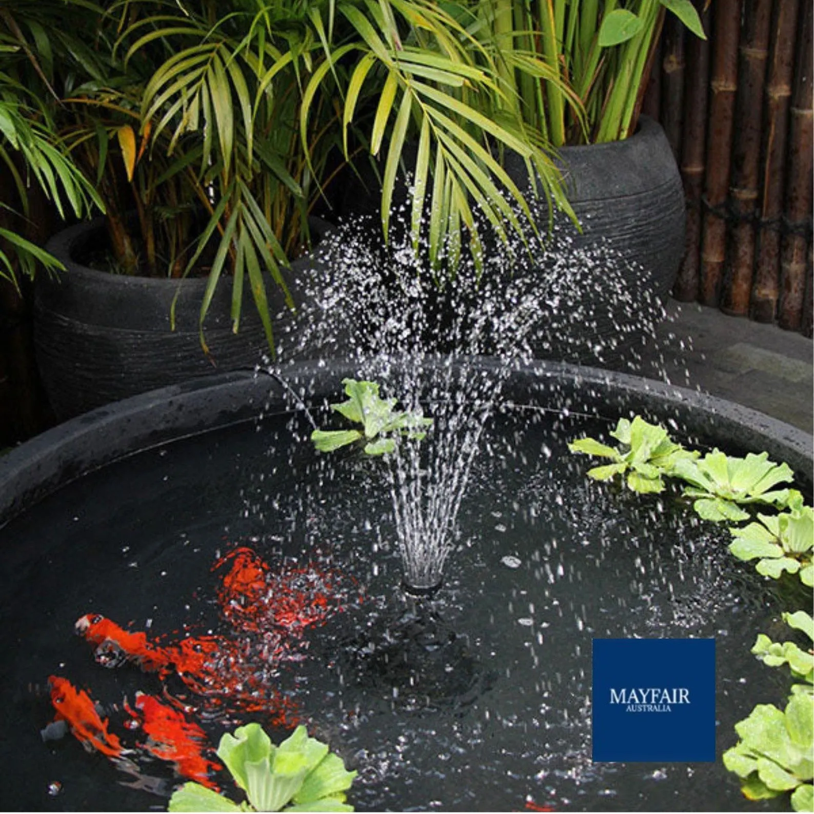 FISH POND FOUNTAIN