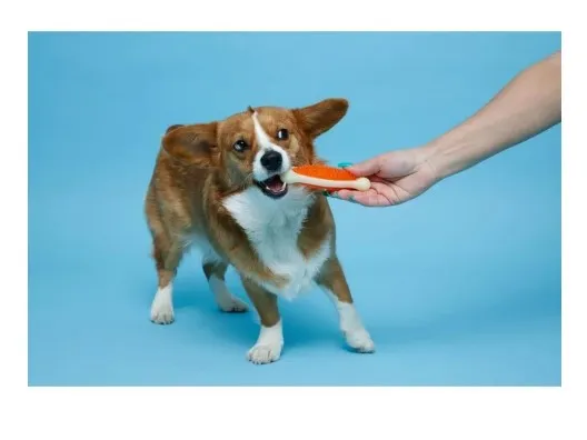 Hartz Chew 'n Clean Tuff Bone Dog Chew Toy, Small, Color May Vary