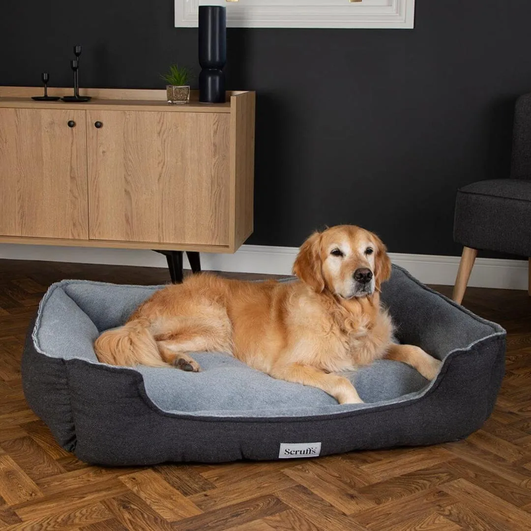 Harvard Memory Foam Box Dog Bed - Graphite Grey