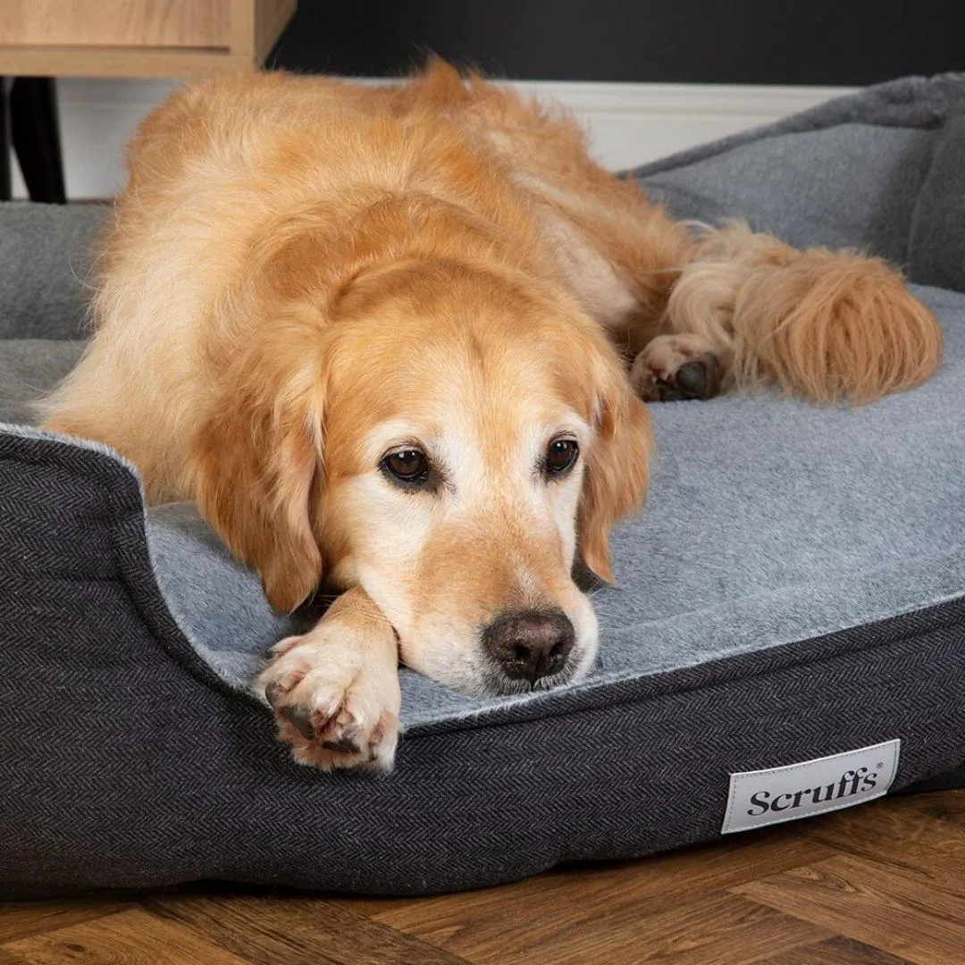 Harvard Memory Foam Box Dog Bed - Graphite Grey