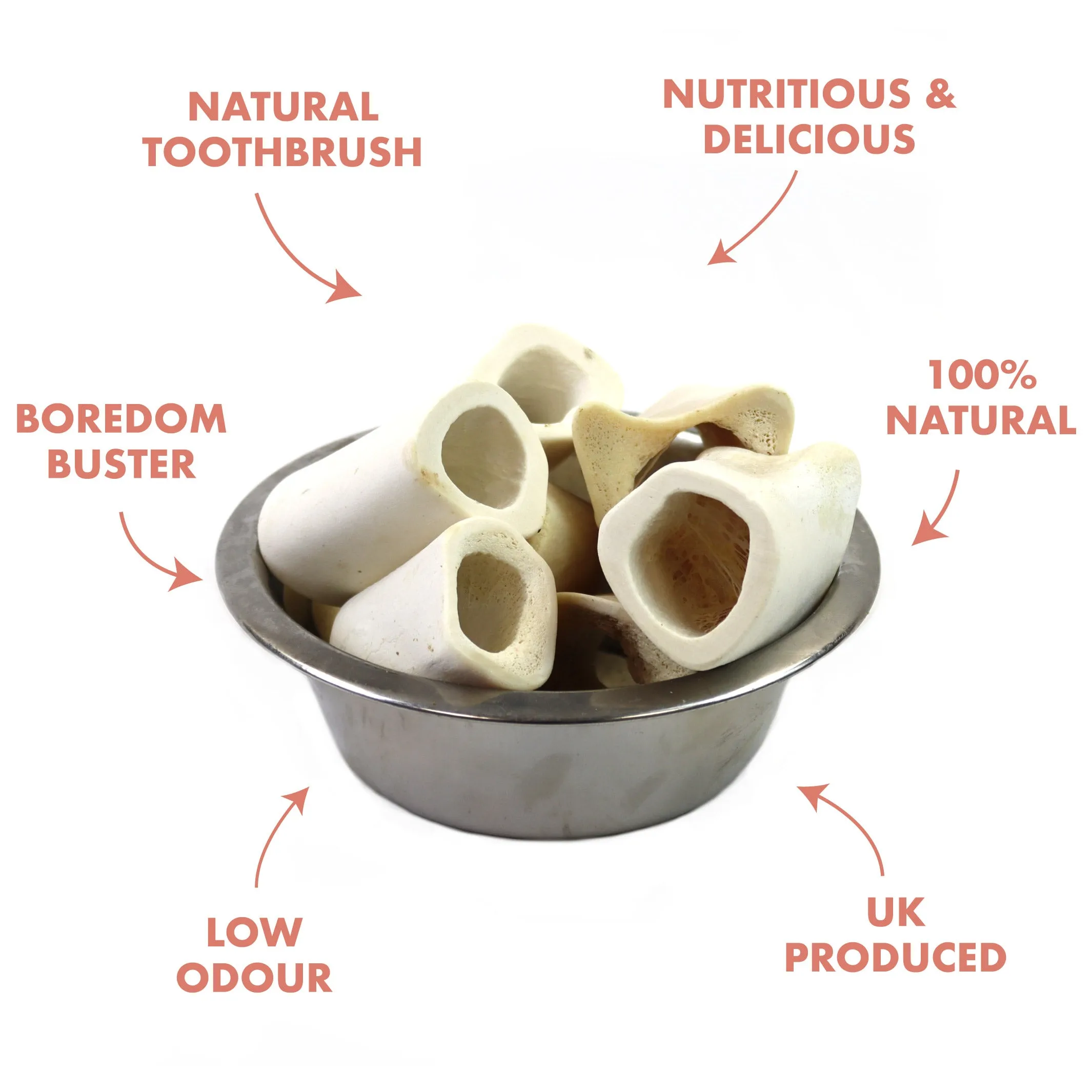 Hollow Calcium Bone Dog Treat