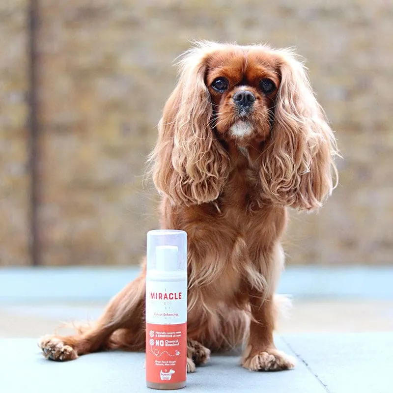 Hownd - Miracle Bright and White Colour Enhancing Shampoo