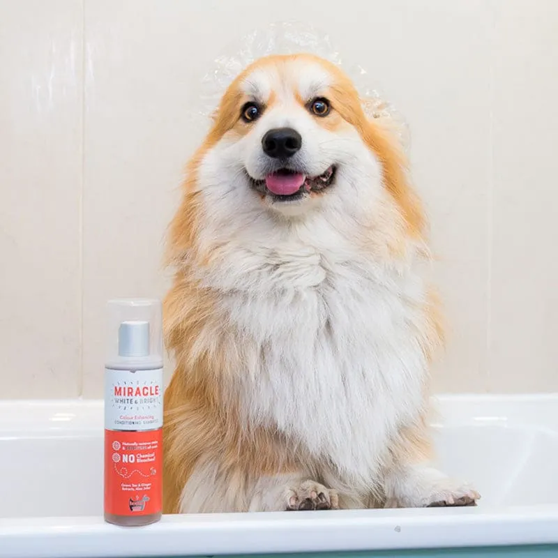 Hownd - Miracle Bright and White Colour Enhancing Shampoo