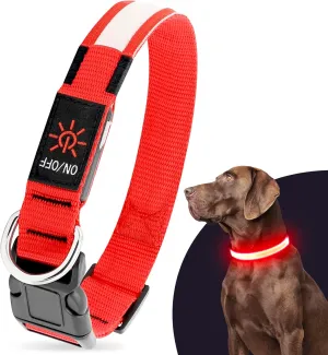 Illumifun LED Dog Collar, USB Rechargeable Light Up Dog Collar, Safety Glow Light for Your Pet Walking at Night (Red, Large)