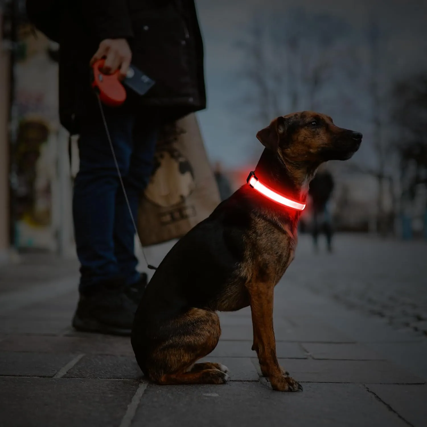 Illumifun LED Dog Collar, USB Rechargeable Light Up Dog Collar, Safety Glow Light for Your Pet Walking at Night (Red, Large)