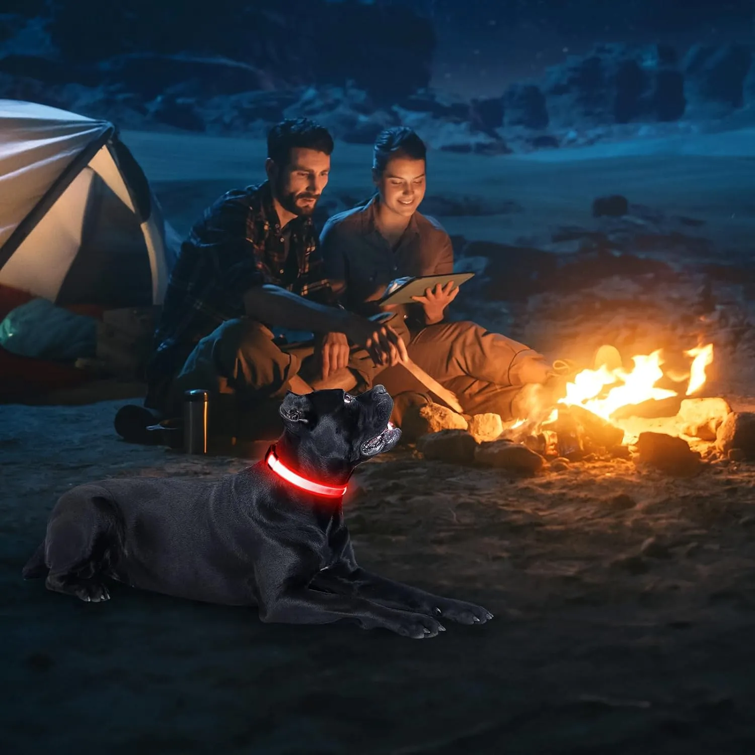 Illumifun LED Dog Collar, USB Rechargeable Light Up Dog Collar, Safety Glow Light for Your Pet Walking at Night (Red, Large)