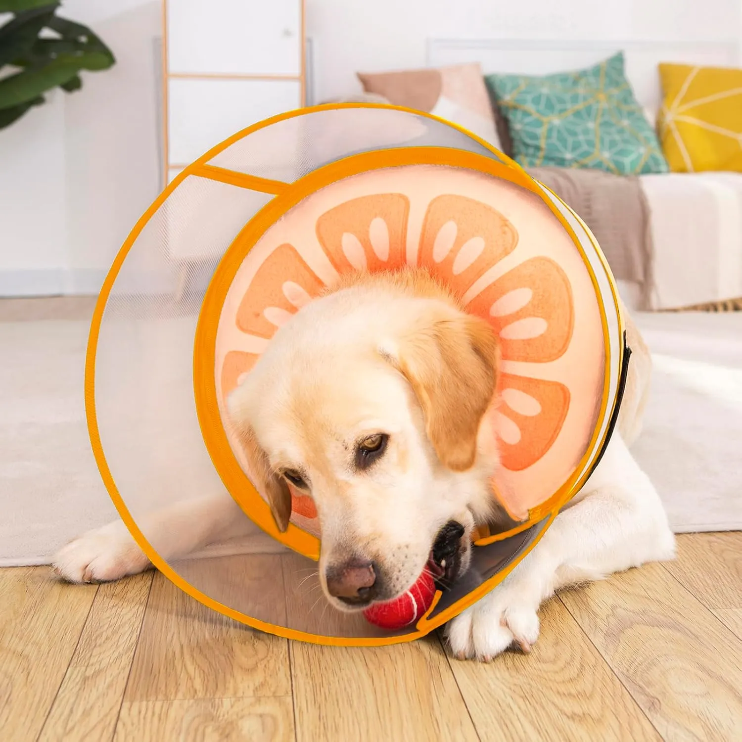 Inflatable Dog Cone Collar for Large Medium Small Dogs, Soft Dog Donut Collar Adjustable Recovery Cone for Pets After Surgery, Extra Enhanced Anti-Licking Guard Shield for Pets (ML, Orange)