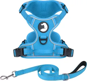 Joytale No Pull Mesh Dog Harness and Reflective Dog 6FT x 1" Leash Combo with Neoprene Handle for Medium Dogs (Aqua Blue,M)