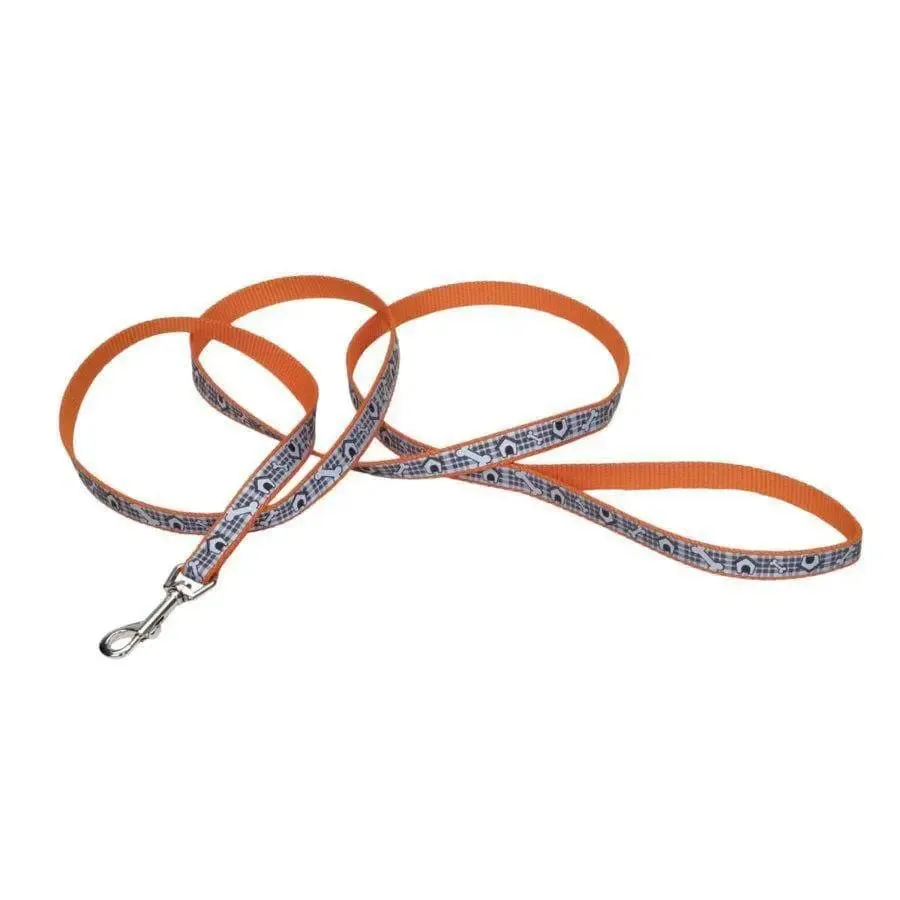 Lazer Brite Reflective Dog Leash