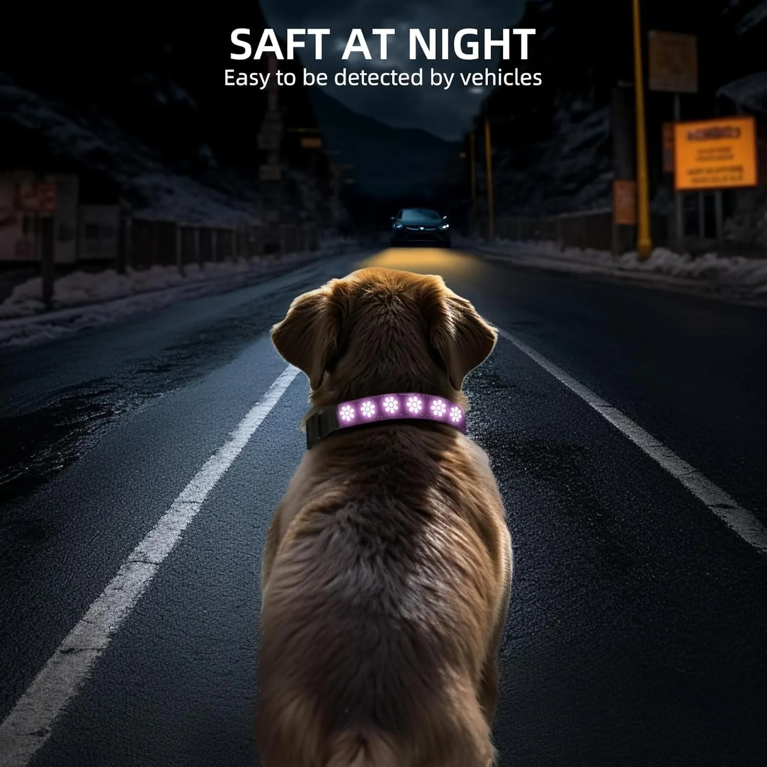 LED AirTag Dog Collar - Brightest Light Up Dog Collars - IP67 Waterproof Air Tag Dog Collar Holder - 1,600 Feet of High Visibility - USB C Rechargeable - Dog Lights for Night Walking, (Pink, XL)