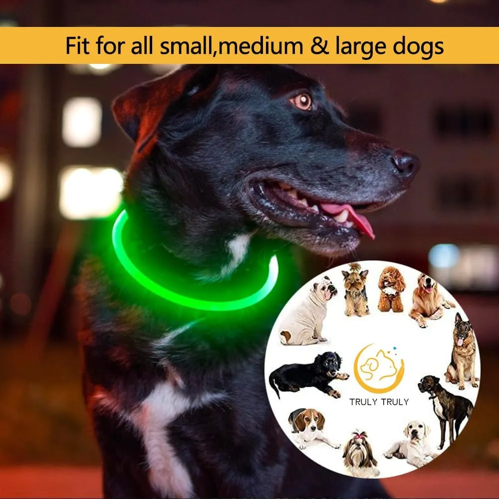 LED Dog Collar USB Rechargeable Flash Light Pet Safety Necklace for Night Visibility (Yellow, Medium)