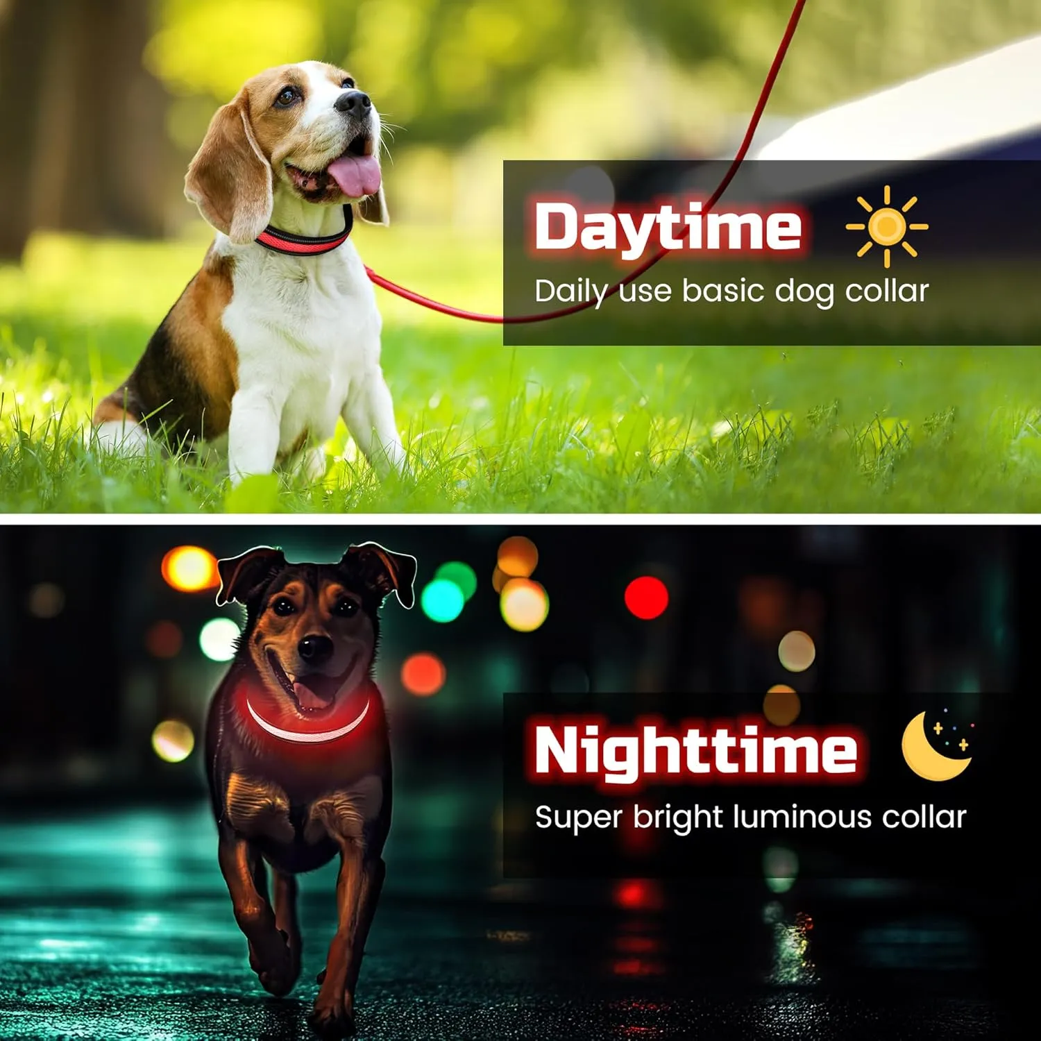 Light Up Dog Collar, Rechargeable LED Pet Collar Ultra Bright in Dark 3 Flash Glow, Adjustable Necklace High Visibility Safety Night Walking Waterproof for Small Medium Large Breed Dogs, Red, M