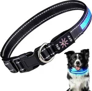 Light Up Dog Collar: Rechargeable Waterproof Safety Dogs Accessories - Glow in The Dark Pet Collars for Night Walking - Best Flashing Neon Blue Lights and Glowing Lighted Gear in Nite Time