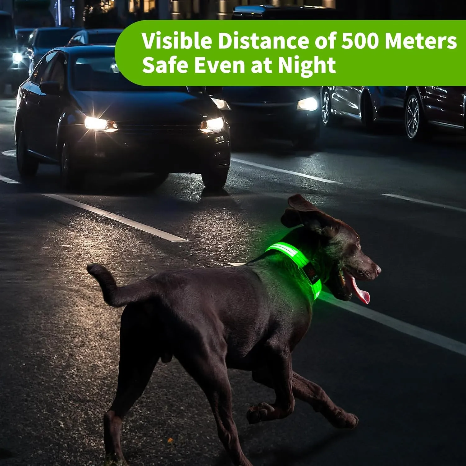 Light Up Dog Collars, LED Dog Collar Light Adjustable USB Rechargeable Super Bright Safety Light Glowing in The Dark Reflective Dog Collar for Medium Large Small Dogs