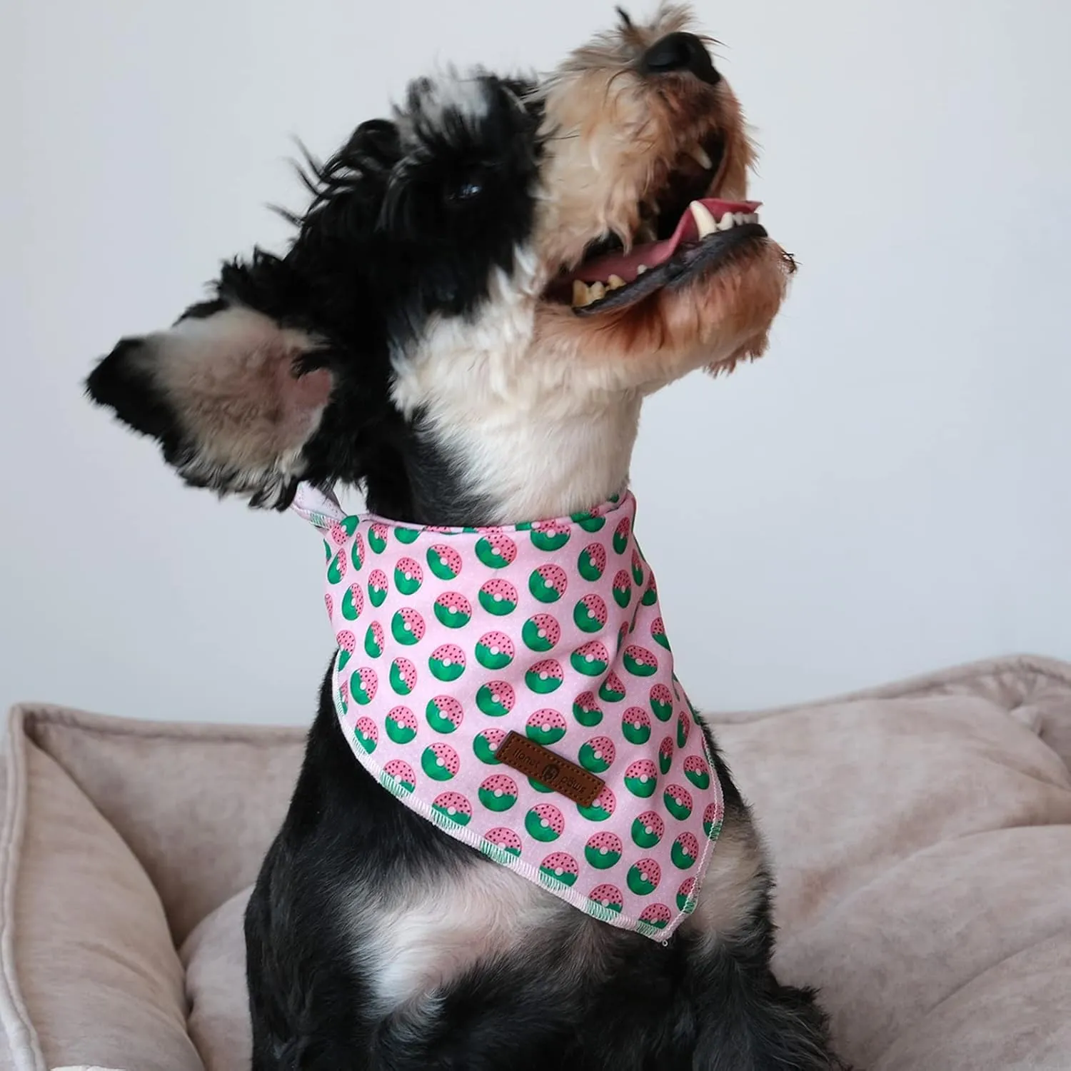 lionet paws Donut Dog Bandana for Small Medium Large Dogs, Cat Dog Kerchief Triangle Bibs Scarf for Male Female