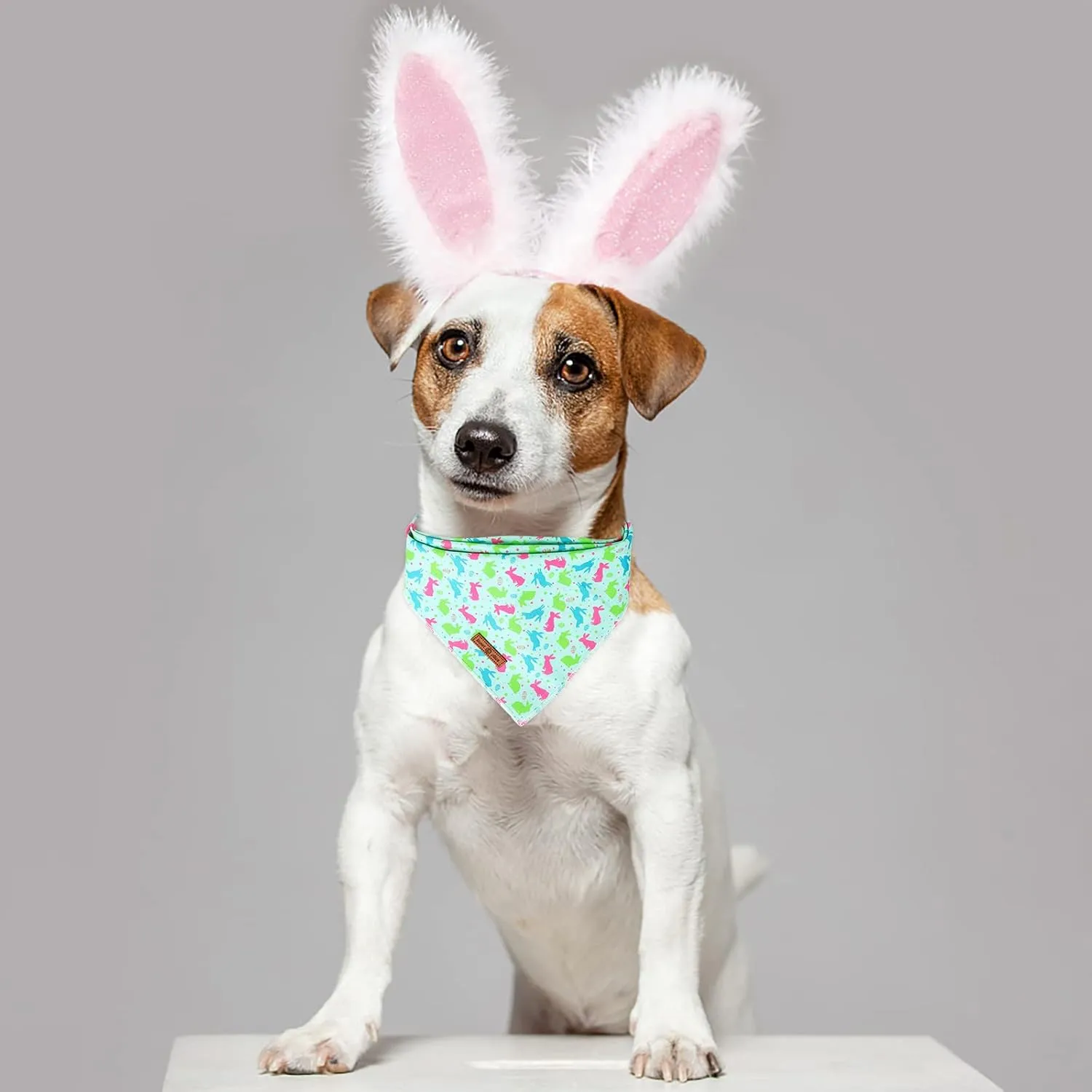 lionet paws Easter Bunny Egg Dog Bandana for Small Medium Large Dogs, Cat Dog Kerchief Triangle Bibs Scarf for Girl Boy