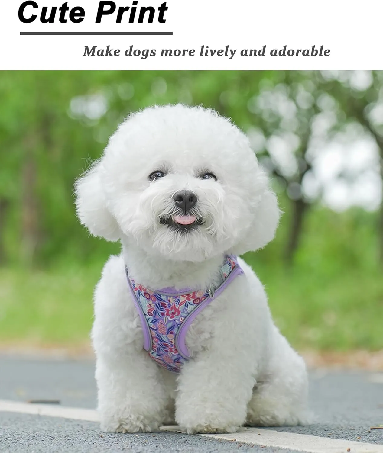 M Light Purple Flower Pattern Dog Harness and Leash Set,No Escape Puppy Harnesses for Training WalkingBreathable Adjustable Puppy Vest for Small Medium Dogs, Cats (Light Purple, M)