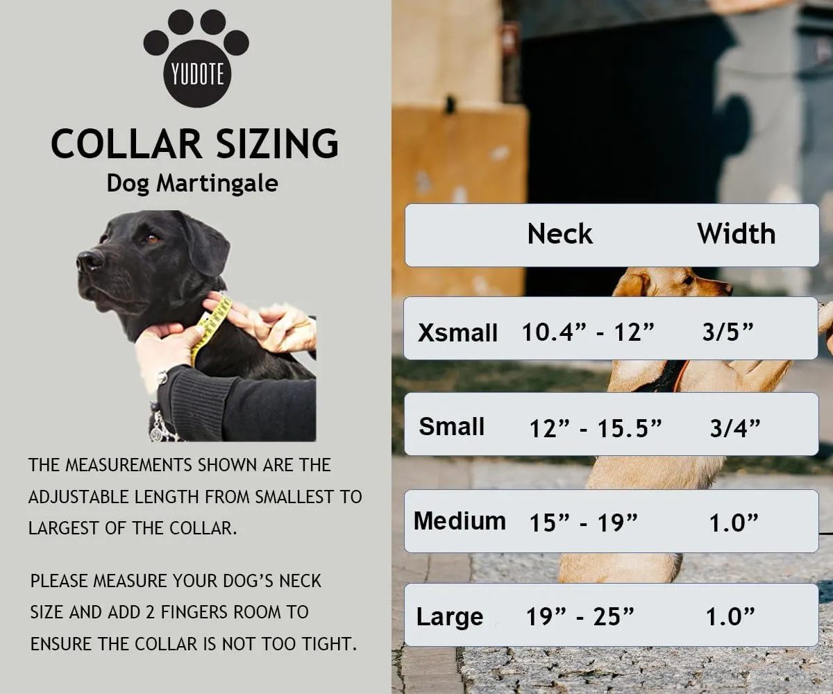 Martingale Dog Collars with Quick Snap Buckle Adjustable Flamingo Pattern Training No Pull Collars for Female Male Small Dogs (Small,Flamingo)