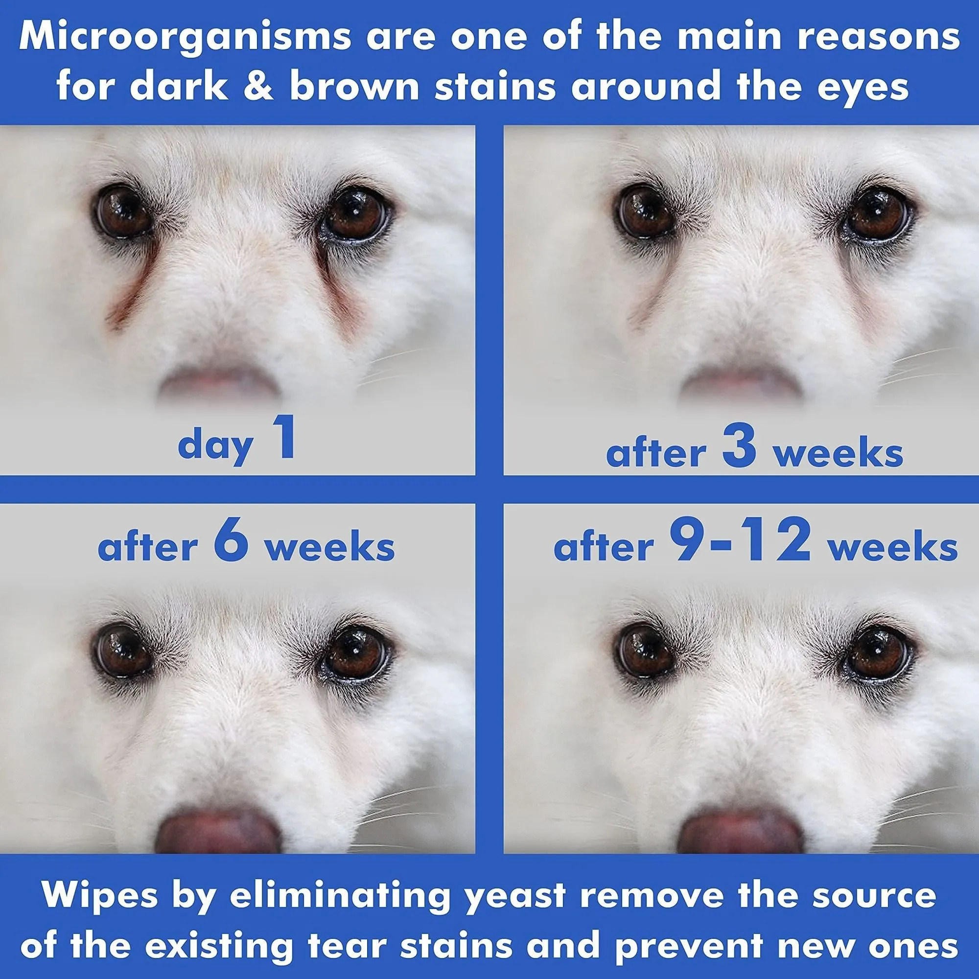 Natural Aromatherapy Medicated Eye Wipes for Dogs and Cats - 100 Count