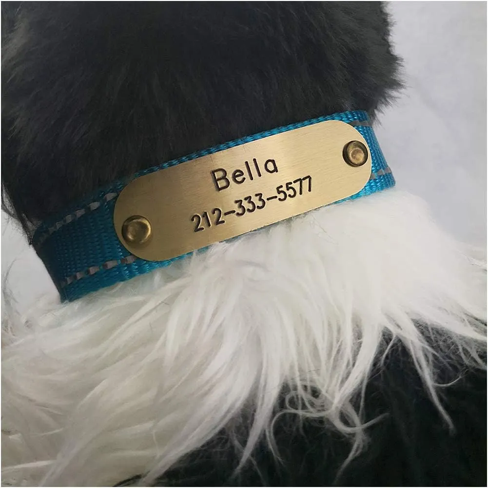 NEMOCI Rivet-On Pet ID Tag Personalized Dog and Cat ID Tag Custom Engraved Pet Collar Name Tag Stainless Steel or Brass (60mm x 18mm)