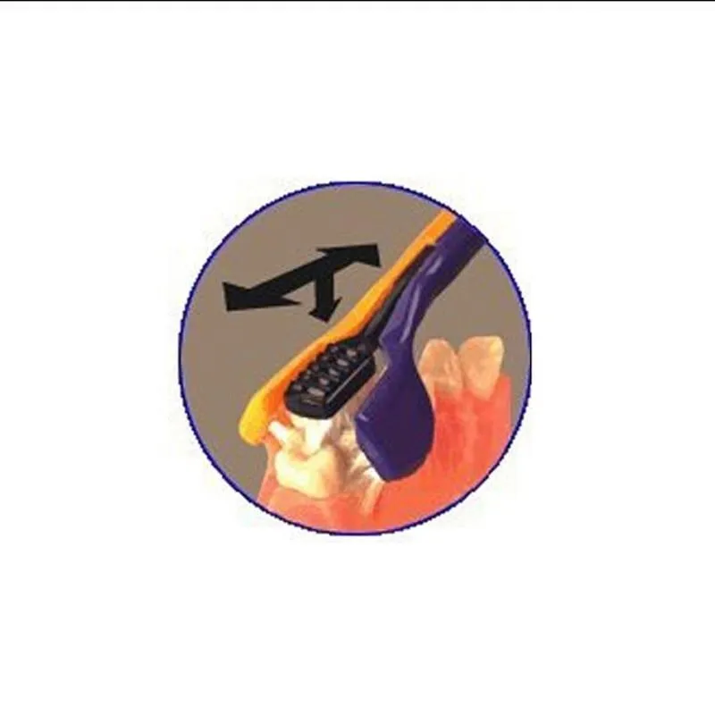 Pet Toothbrush - Three Sided