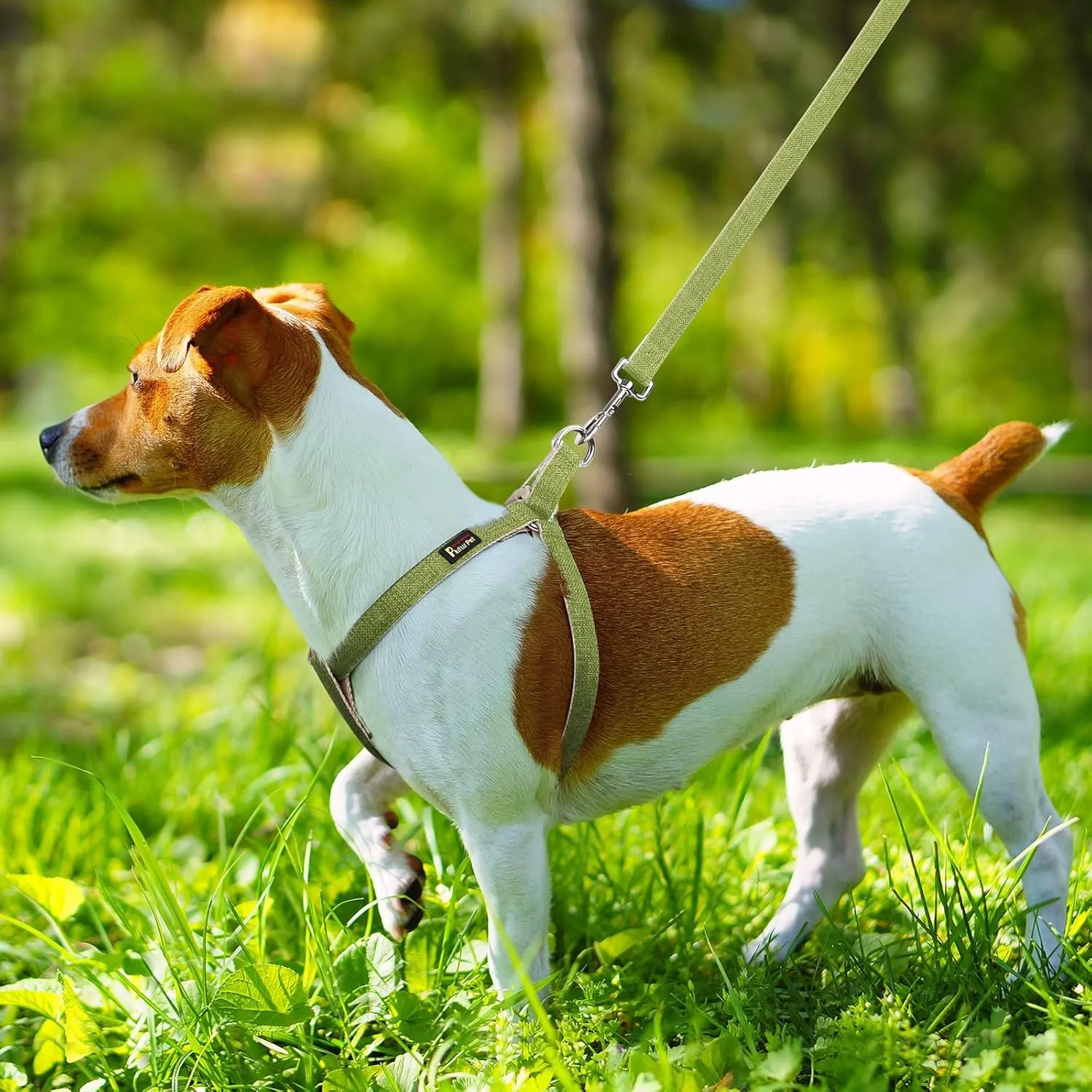 Plutus Pet Cotton Hemp Step in Dog Harness, Sustainable, Lightweight and Escape-Proof, Quick Fit Dog Harness for Puppy Small Medium and Large Dogs, Green, M